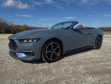 2024 Ford Mustang Whitesboro TX