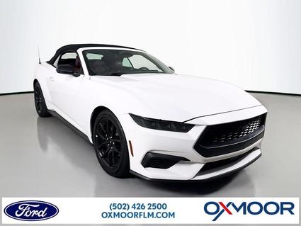 2025 Ford Mustang Louisville KY