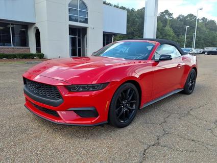 2024 Ford Mustang Louisville MS