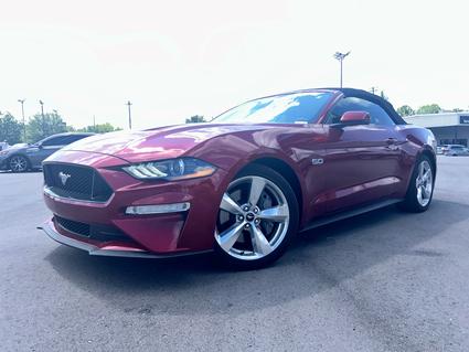2019 Ford Mustang Radcliff KY