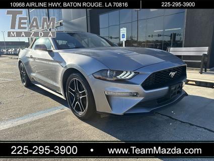 2023 Ford Mustang Baton Rouge LA