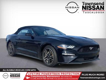 2023 Ford Mustang Tuscaloosa AL