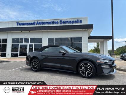 2023 Ford Mustang Tuscaloosa AL