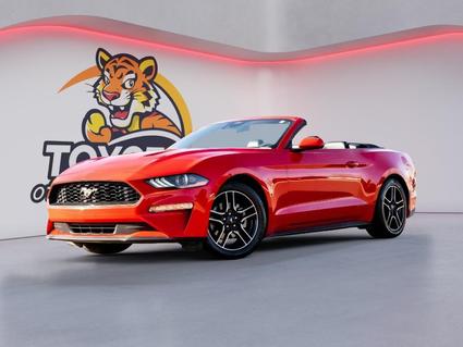 2023 Ford Mustang Hernando MS