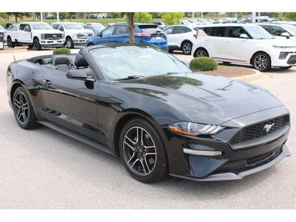 2023 Ford Mustang York SC
