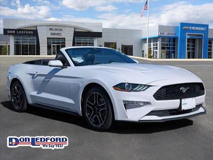 2023 Ford Mustang Cleveland TN