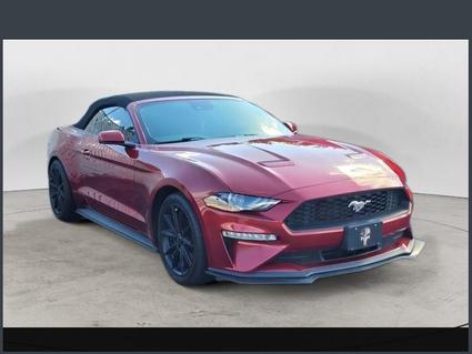 2019 Ford Mustang Hot Springs AR