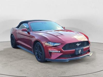 2019 Ford Mustang Hot Springs AR