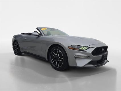 2022 Ford Mustang Knoxville TN