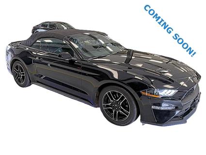 2022 Ford Mustang Murfreesboro TN