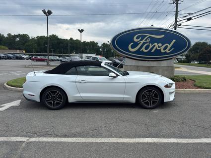 2022 Ford Mustang Suffolk VA
