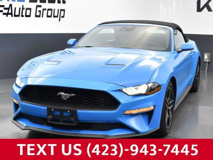 2023 Ford Mustang Kingsport TN