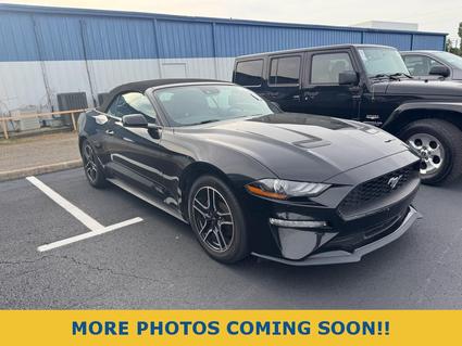 2022 Ford Mustang Russellville AR