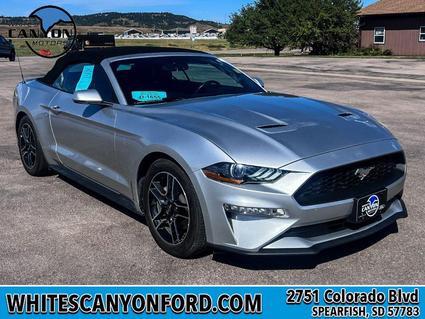 2019 Ford Mustang Spearfish SD
