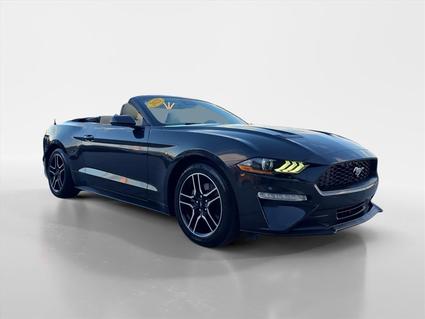 2022 Ford Mustang Knoxville TN