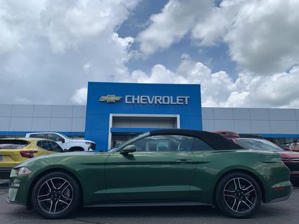 2023 Ford Mustang Jefferson City TN