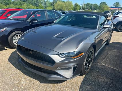 2023 Ford Mustang Saltillo MS