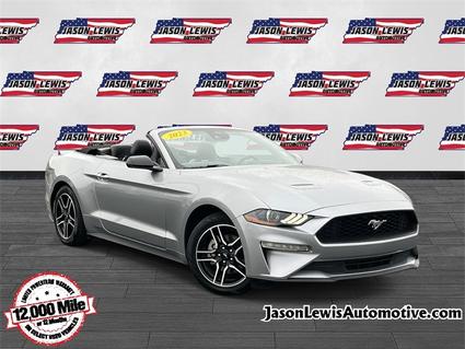 2023 Ford Mustang Sparta TN