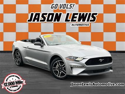 2023 Ford Mustang Sparta TN