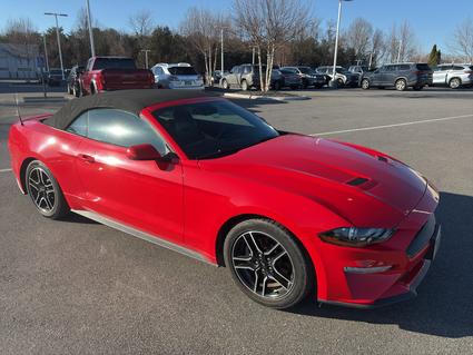2021 Ford Mustang Lynchburg VA