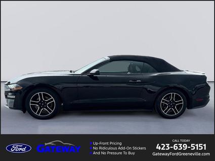2021 Ford Mustang Greeneville TN