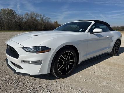 2023 Ford Mustang Whitesboro TX