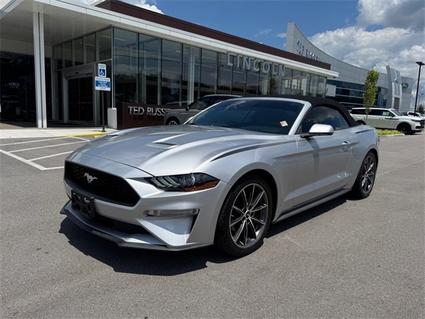 2019 Ford Mustang Knoxville TN