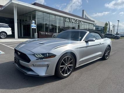 2019 Ford Mustang Knoxville TN
