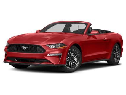 2019 Ford Mustang Wolf Point MT