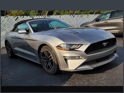 2021 Ford Mustang Hot Springs AR