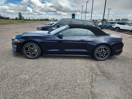 2021 Ford Mustang Cheyenne WY