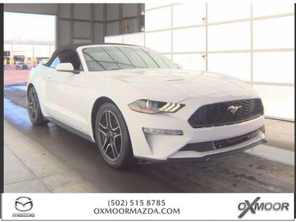 2022 Ford Mustang Louisville KY