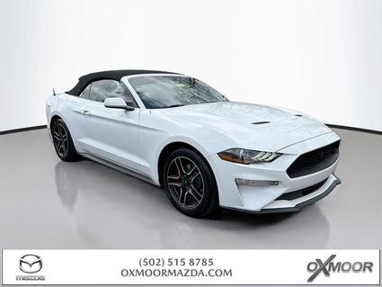 2022 Ford Mustang Louisville KY