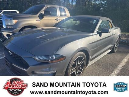 2022 Ford Mustang Albertville AL