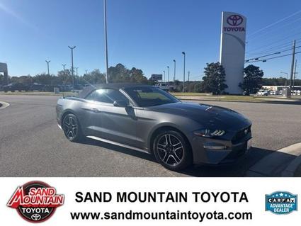 2022 Ford Mustang Albertville AL