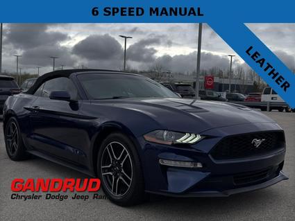 2019 Ford Mustang Green Bay WI