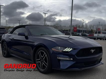 2019 Ford Mustang Green Bay WI