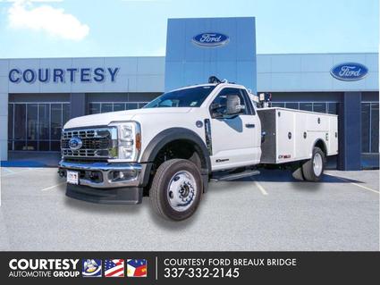 2025 Ford F-550 Breaux Bridge LA