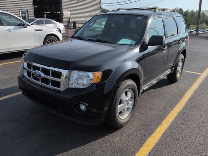 2012 Ford Escape Elizabethtown KY