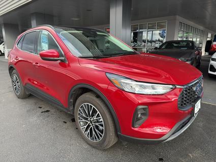 2025 Ford Escape Coeur D'Alene ID