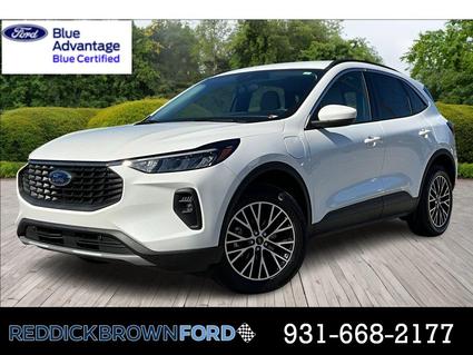 2024 Ford Escape Morrison TN