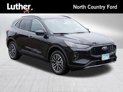 2025 Ford Escape Minneapolis MN