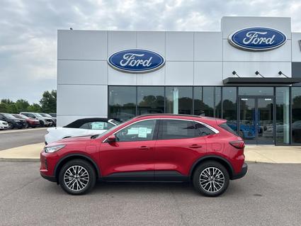 2024 Ford Escape Martin TN