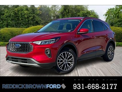 2024 Ford Escape Morrison TN