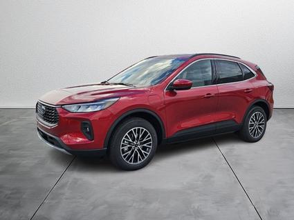 2025 Ford Escape Wauchula FL