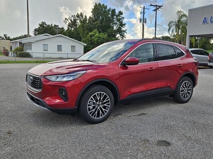 2025 Ford Escape Wauchula FL
