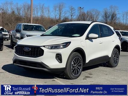 2023 Ford Escape Knoxville TN