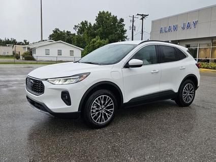 2025 Ford Escape Wauchula FL