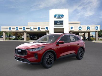 2025 Ford Escape Carbondale IL