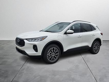 2025 Ford Escape Wauchula FL
